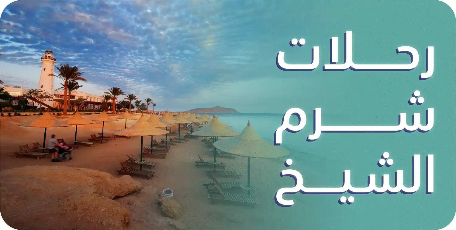 Sharm El Sheikh trips